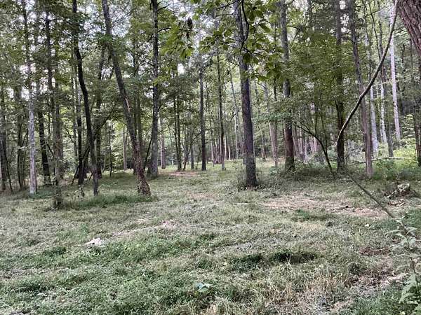 10.5 Acres of Recreational & Residential Land for Sale in Damascus, Arkansas