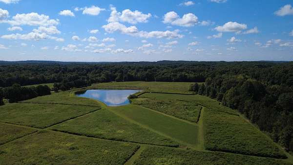 24 Acres of Land for Sale in Herod, Illinois