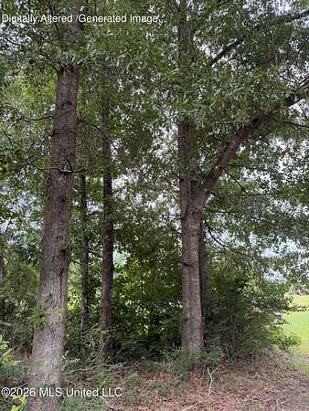 0.7 Acres of Residential Land for Sale in McComb, Mississippi