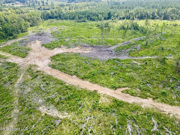 40.5 Acres of Recreational & Residential Land for Sale in McCool, Mississippi