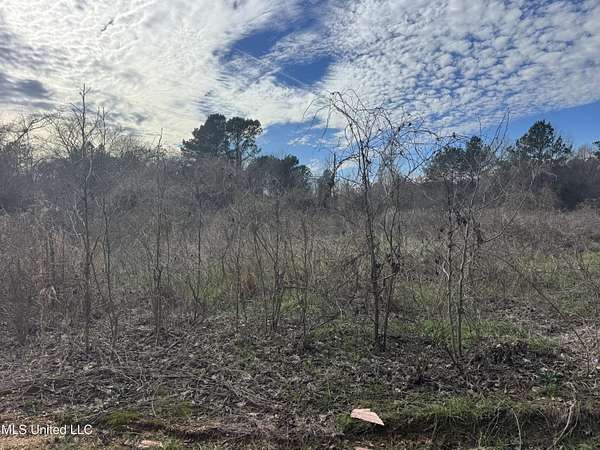 71 Acres of Recreational & Residential Land for Sale in Magee, Mississippi