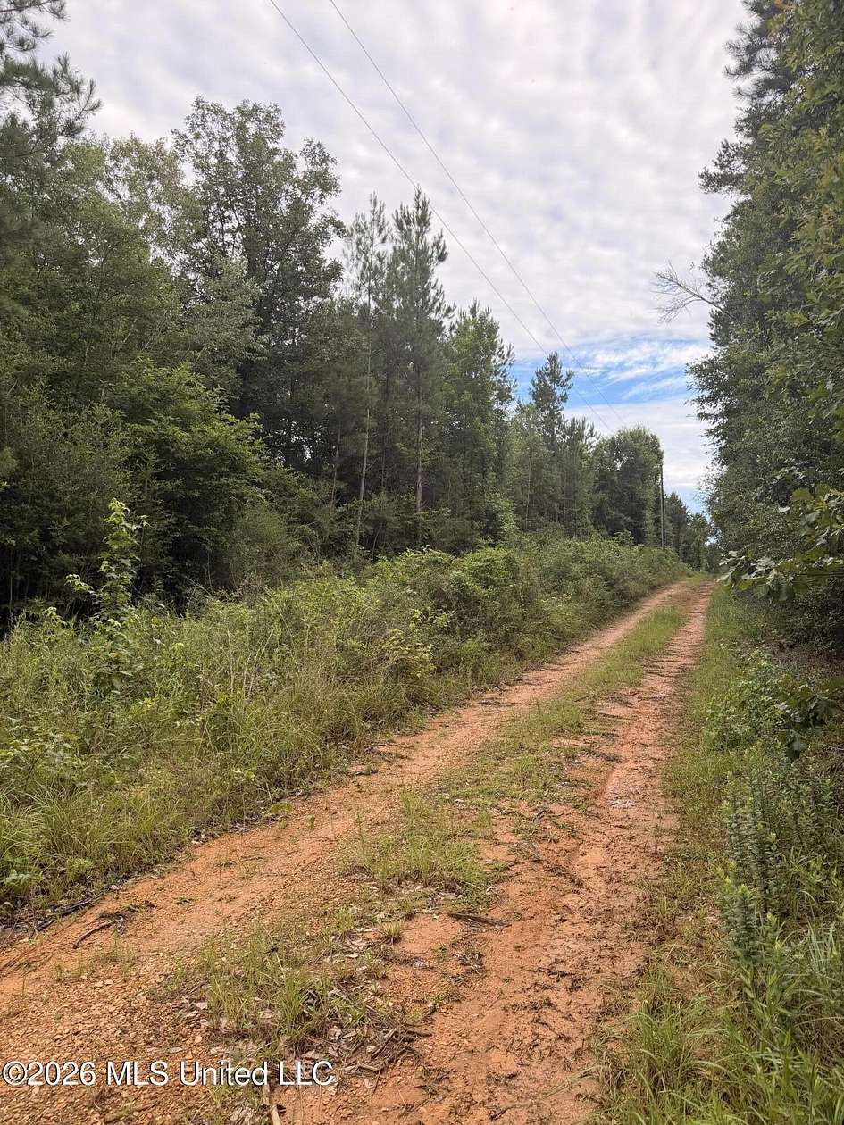 18.7 Acres of Recreational & Residential Land for Sale in McComb, Mississippi