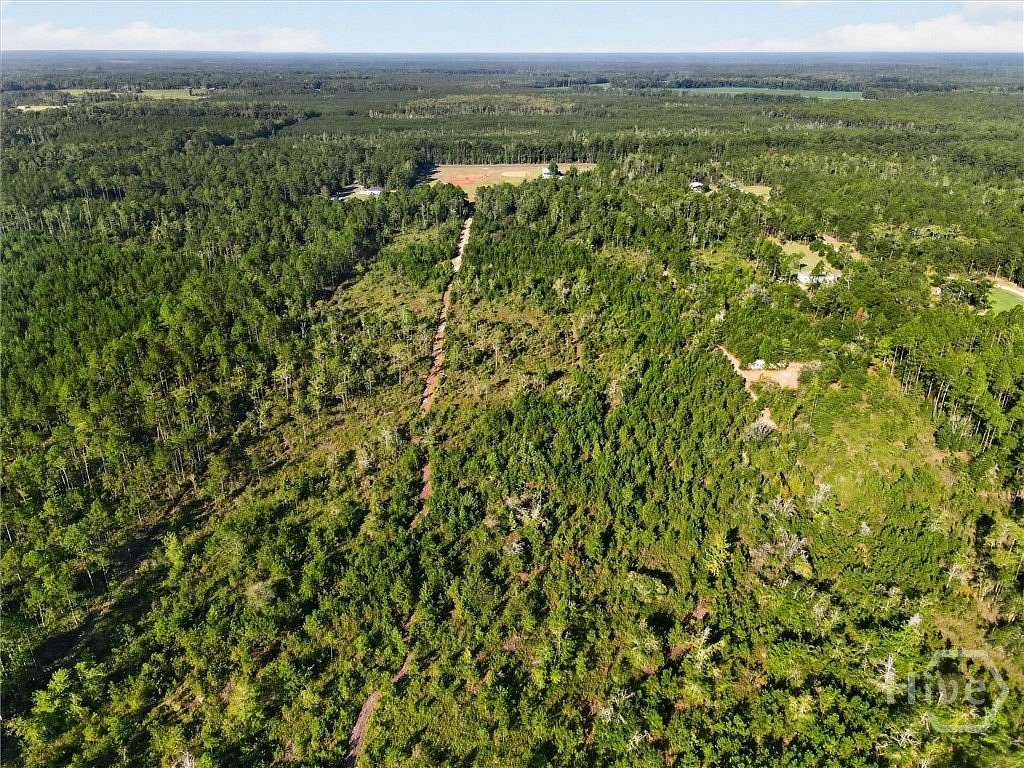 39 Acres of Recreational & Residential Land for Sale in Guyton, Georgia