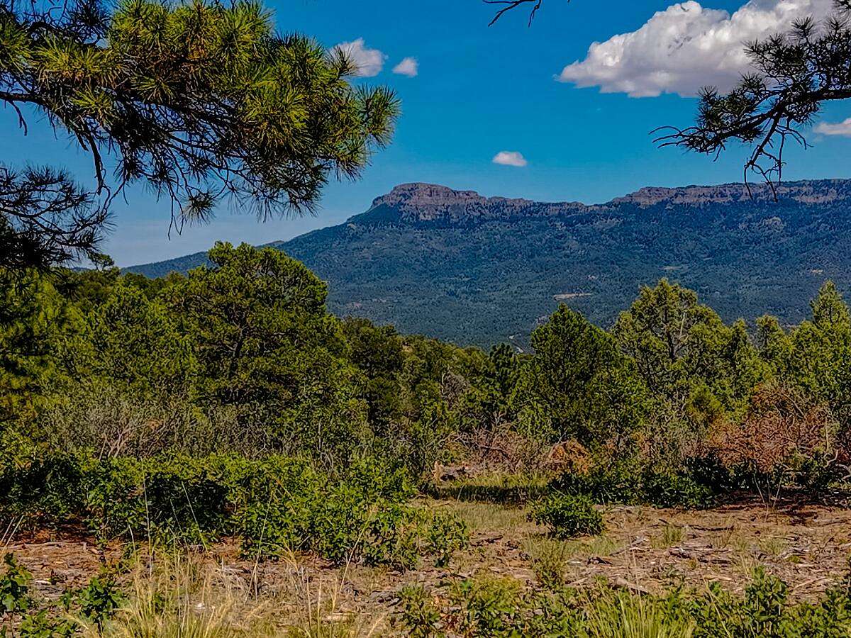 35 Acres of Land for Sale in Trinidad, Colorado