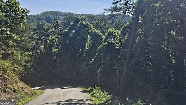 2.66 Acres of Land for Sale in Clayton, Georgia