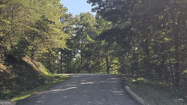 1.25 Acres of Land for Sale in Clayton, Georgia
