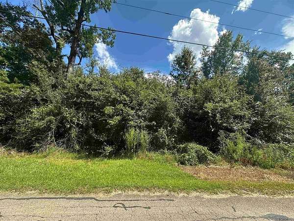 0.18 Acres of Residential Land for Sale in Maurepas, Louisiana