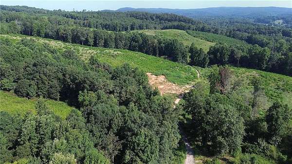 85.4 Acres of Recreational & Residential Land for Sale in Ranger, Georgia