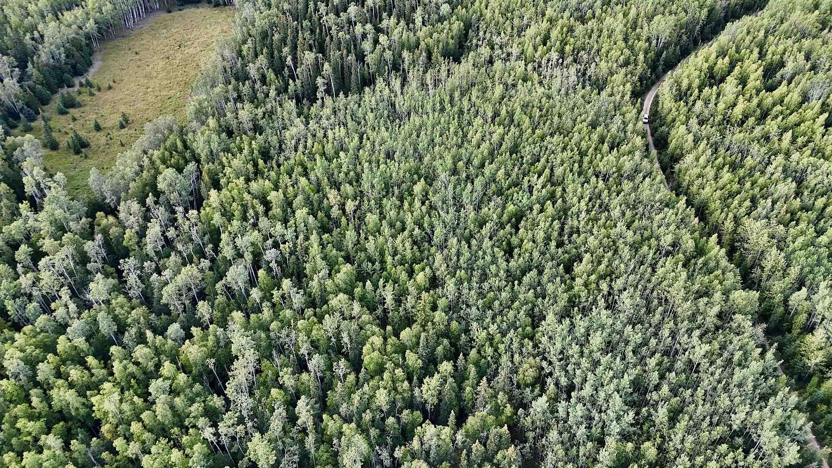 3.44 Acres of Residential Land for Sale in Delta Junction, Alaska
