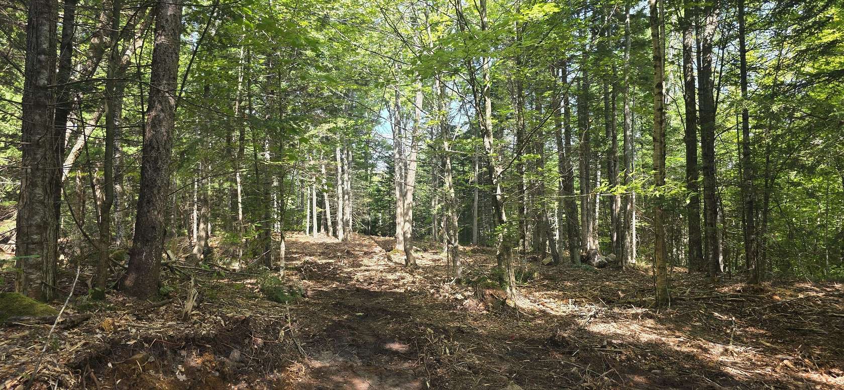 17.1 Acres of Recreational & Residential Land for Sale in Woodstock Town, Maine
