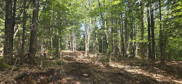 17.1 Acres of Recreational & Residential Land for Sale in Woodstock Town, Maine
