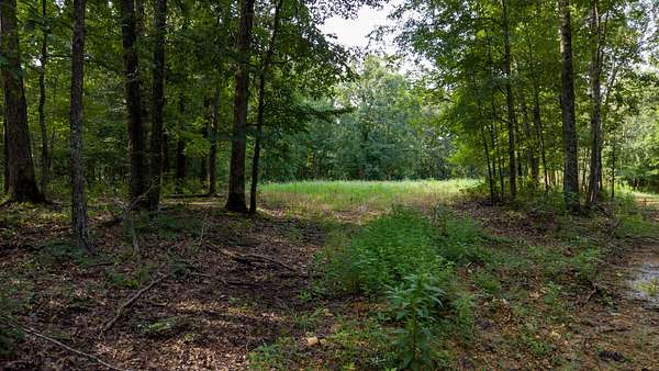 647 Acres of Land for Sale in Waverly, Tennessee