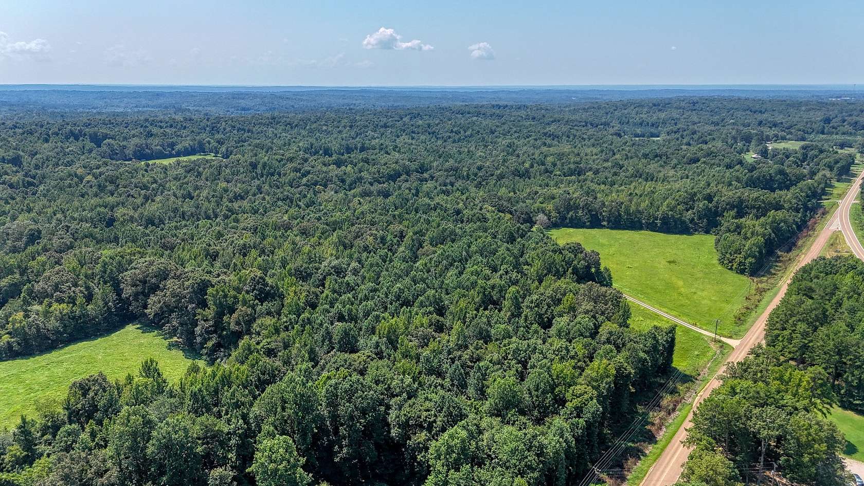 96 Acres of Land for Sale in Toone, Tennessee