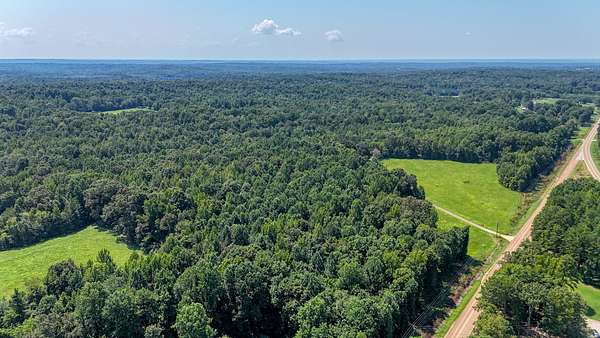 96 Acres of Land for Sale in Toone, Tennessee