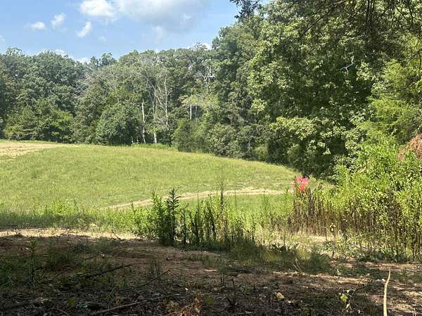 2.72 Acres of Residential Land for Sale in Birchwood, Tennessee
