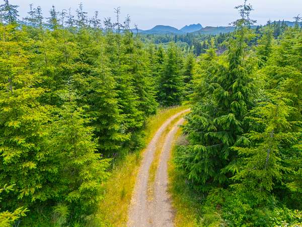 1,120 Acres of Recreational Land for Sale in Astoria, Oregon