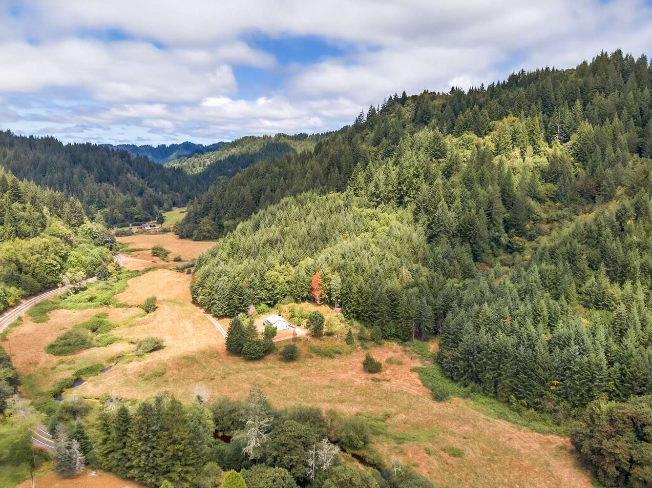 203 Acres of Land for Sale in Reedsport, Oregon