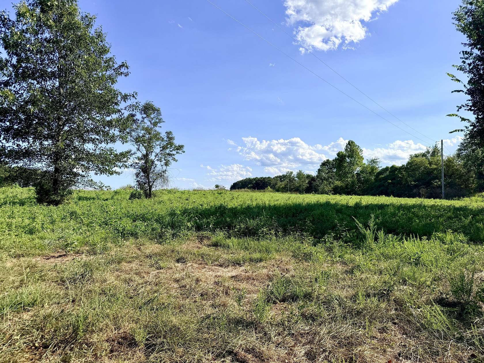 5 Acres of Residential Land for Sale in Galena, Missouri