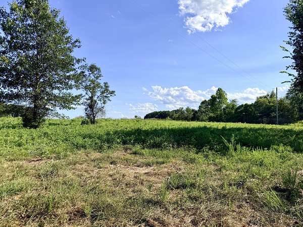 5 Acres of Residential Land for Sale in Galena, Missouri