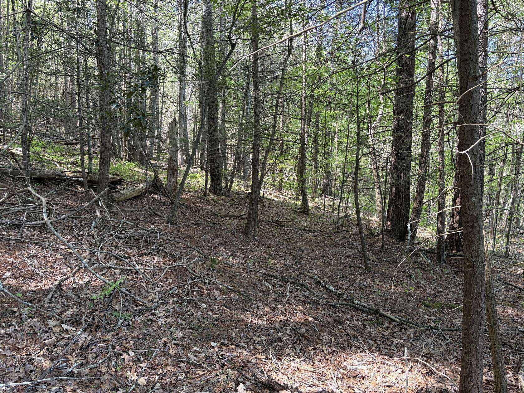 9.38 Acres of Residential Land for Sale in White Sulphur Springs, West Virginia