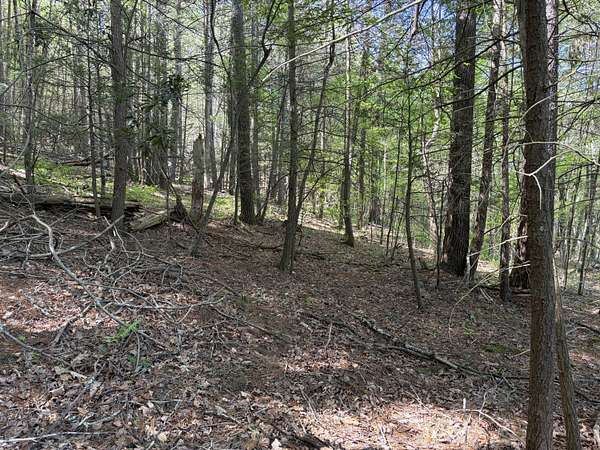 9.38 Acres of Residential Land for Sale in White Sulphur Springs, West Virginia