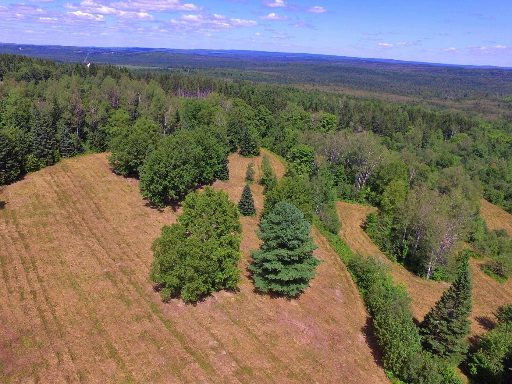 133 Acres of Land for Sale in New Sweden, Maine