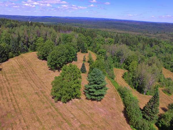 133 Acres of Land for Sale in New Sweden, Maine
