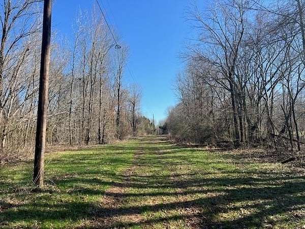 80.9 Acres of Recreational Land for Sale in Moscow, Tennessee