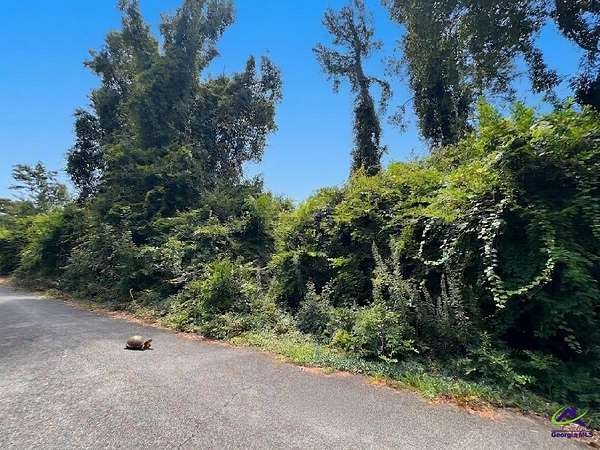 0.65 Acres of Land for Sale in Warner Robins, Georgia