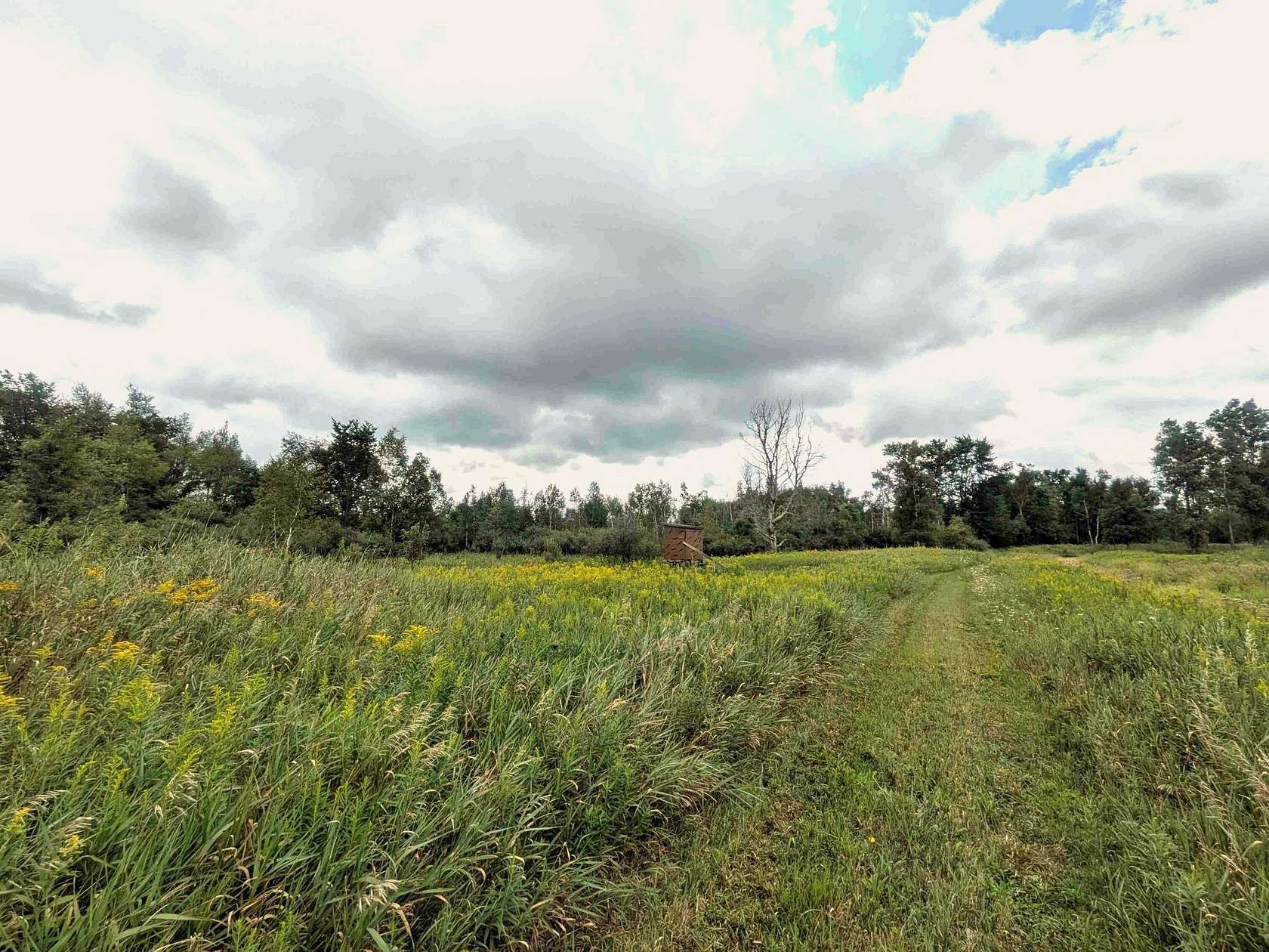 58 Acres of Recreational Land for Sale in Kingston, Michigan