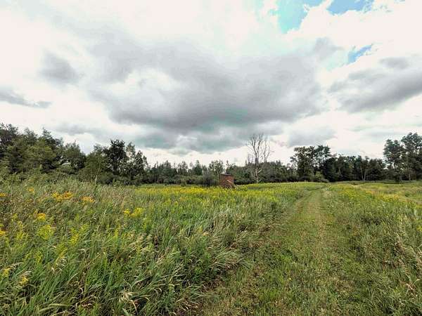 58 Acres of Recreational Land for Sale in Kingston, Michigan