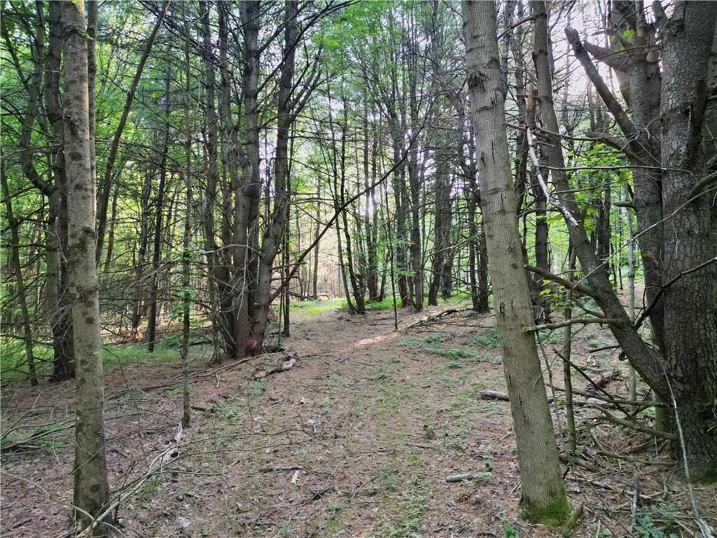 26.7 Acres of Recreational & Residential Land for Sale in Horseheads, New York