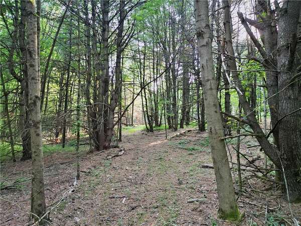 26.7 Acres of Recreational & Residential Land for Sale in Horseheads, New York