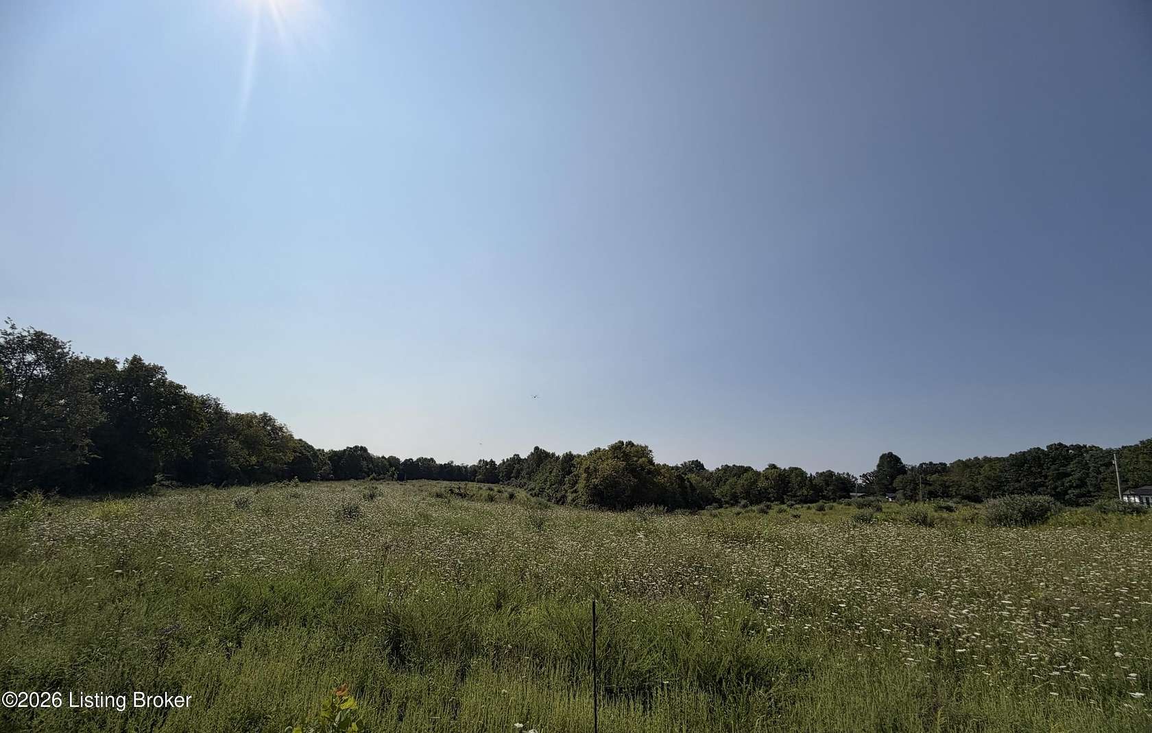 48.8 Acres of Recreational & Residential Land for Sale in Sulphur, Kentucky