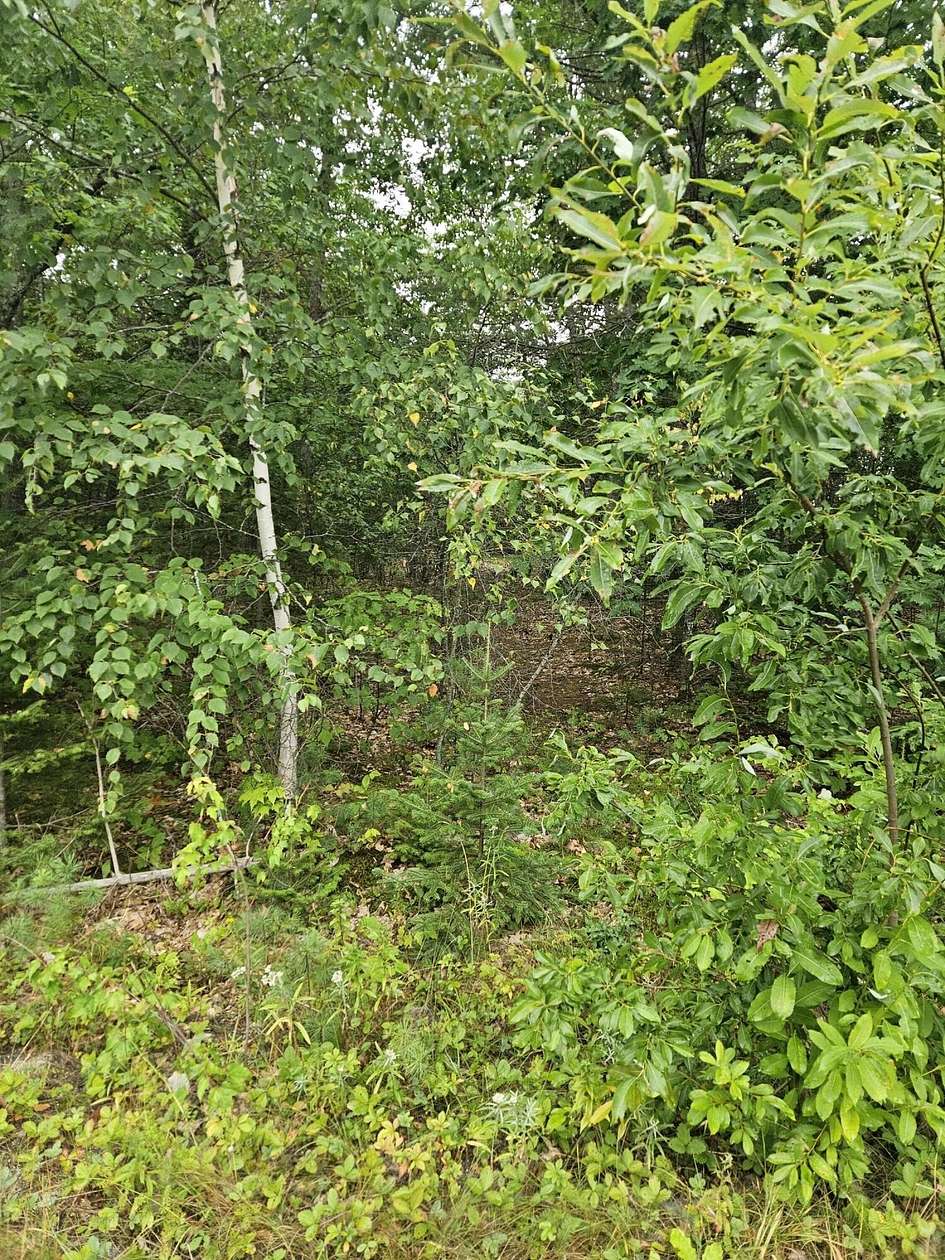 1.38 Acres of Residential Land for Sale in Kenduskeag, Maine