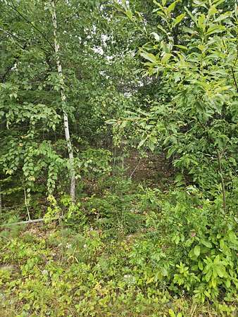 1.38 Acres of Residential Land for Sale in Kenduskeag, Maine
