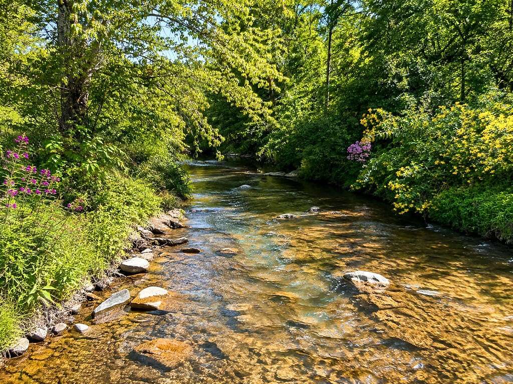 19 Acres of Land for Sale in Murphy, North Carolina