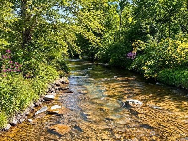 19 Acres of Land for Sale in Murphy, North Carolina