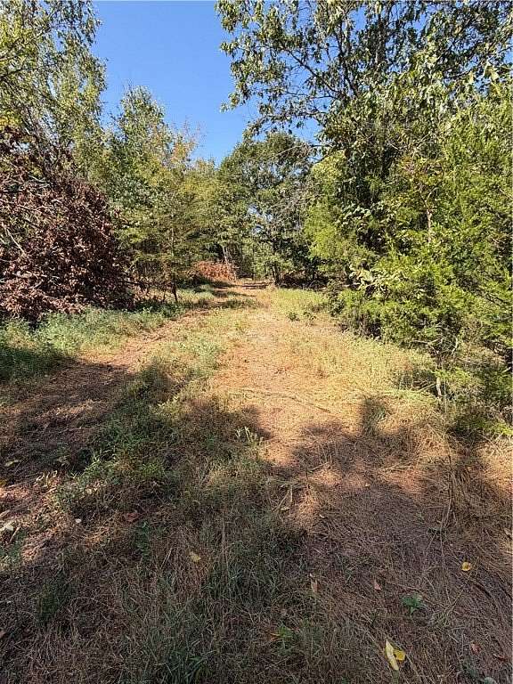 55 Acres of Land for Sale in Summers, Arkansas