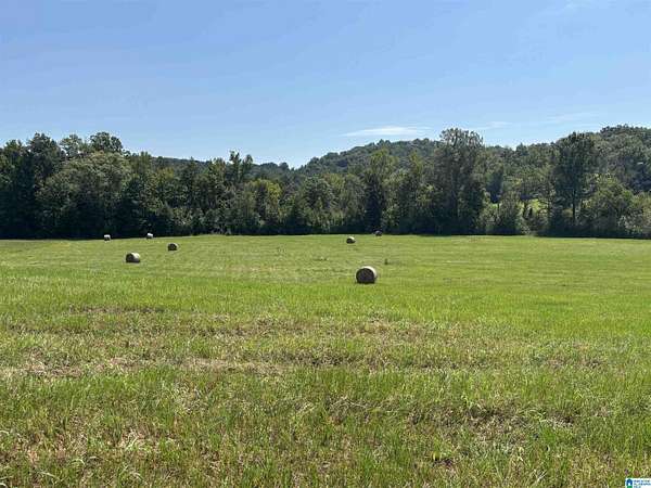 6.57 Acres of Residential Land for Sale in Springville, Alabama