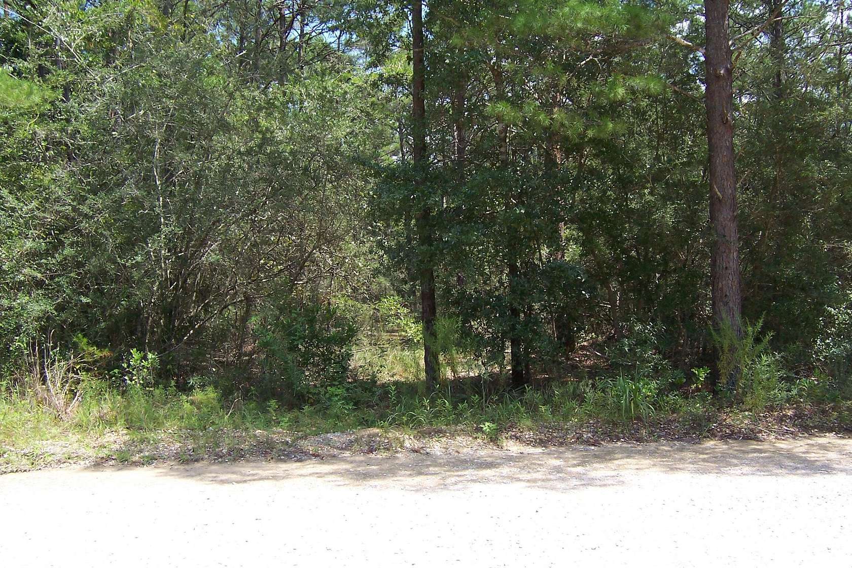 10 Acres of Agricultural Land for Sale in DeFuniak Springs, Florida