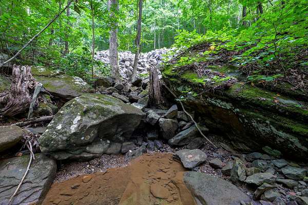 90 Acres of Agricultural Land for Sale in Pikeville, Tennessee