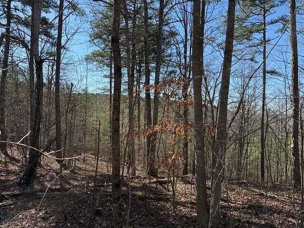 5 Acres of Residential Land for Sale in South Pittsburg, Tennessee