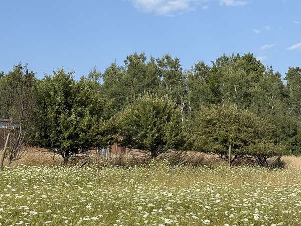 4.88 Acres of Residential Land for Sale in Millersburg, Michigan