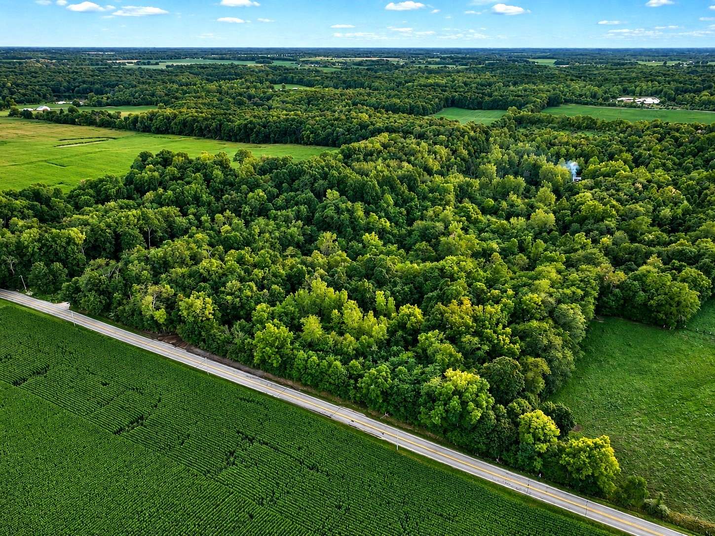 62.6 Acres of Land for Sale in Larwill, Indiana