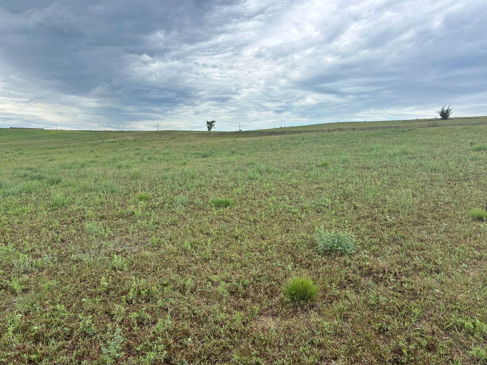 10 Acres of Land for Sale in Burke, South Dakota