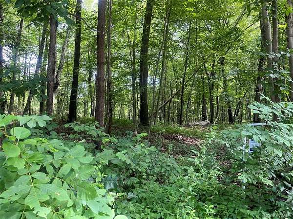 10.5 Acres of Land for Sale in Patterson, New York
