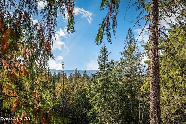 1 Acre of Residential Land for Sale in Sandpoint, Idaho