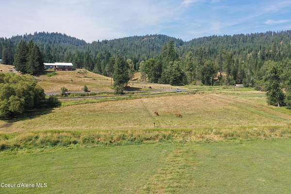 1 Acre of Residential Land for Sale in St. Maries, Idaho