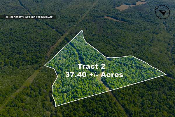 295 Acres of Recreational Land for Auction in Dawson Springs, Kentucky